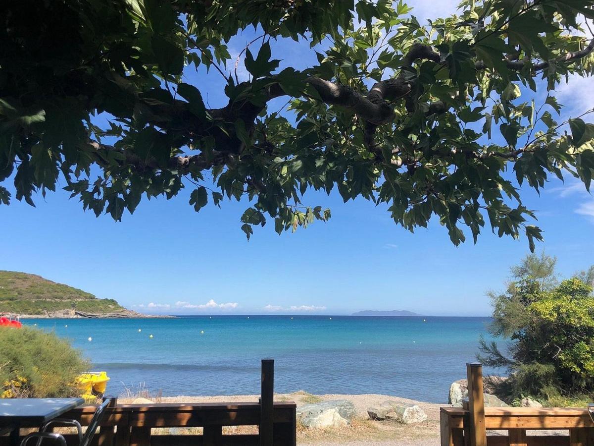 Appartement Cap Corse Marine De Pietracorbara Bord De Mer Екстер'єр фото